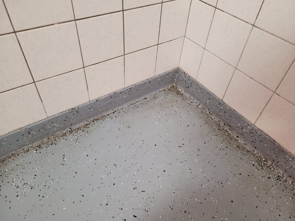 Fotos der Toilettenanlage in Schale